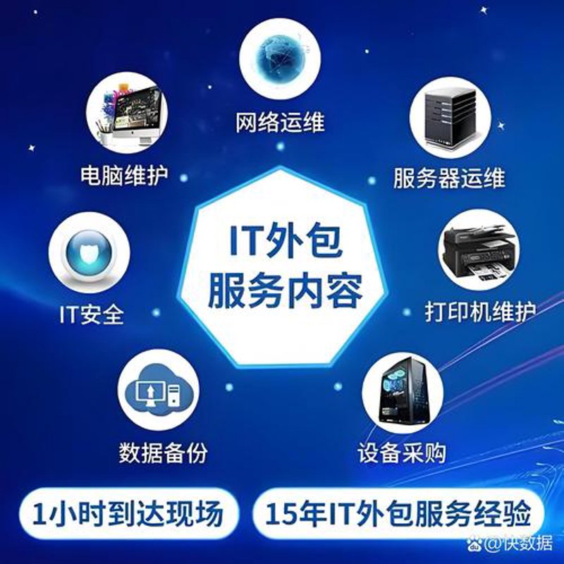 系统集成：数字经济时代的桥梁